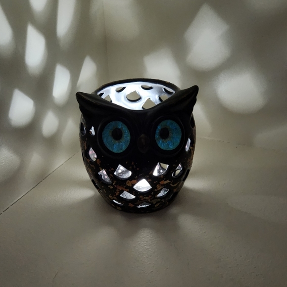 Hand Painted Decorative Owl - Picture 6 of 11